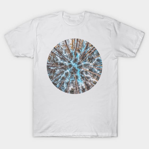 Circular Palm Trees Geometry Photography T-Shirt by deificusArt